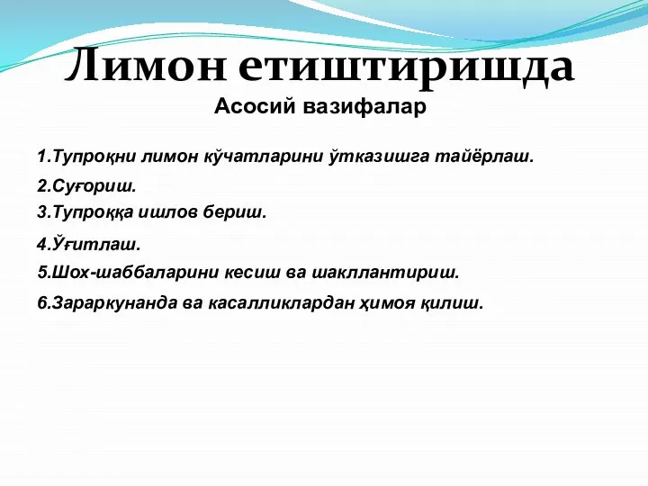 Лимон етиштиришда Асосий вазифалар 1.Тупроқни лимон кўчатларини ўтказишга тайёрлаш. 2.Суғориш. 3.Тупроққа ишлов