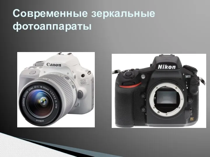 Современные зеркальные фотоаппараты