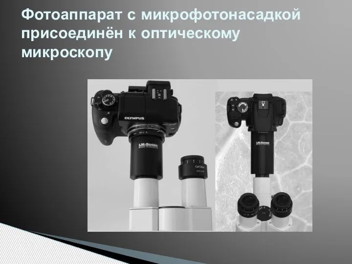 Фотоаппарат с микрофотонасадкой присоединён к оптическому микроскопу