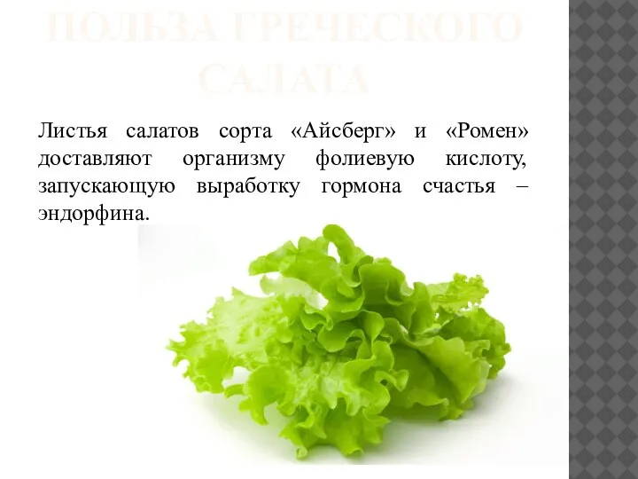 ПОЛЬЗА ГРЕЧЕСКОГО САЛАТА Листья салатов сорта «Айсберг» и «Ромен» доставляют организму фолиевую