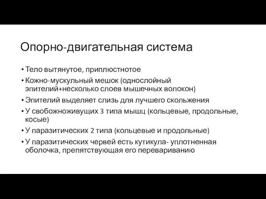 Опорно-двигательная система Тело вытянутое, приплюстнотое Кожно-мускульный мешок (однослойный эпителий+несколько слоев мышечных волокон)