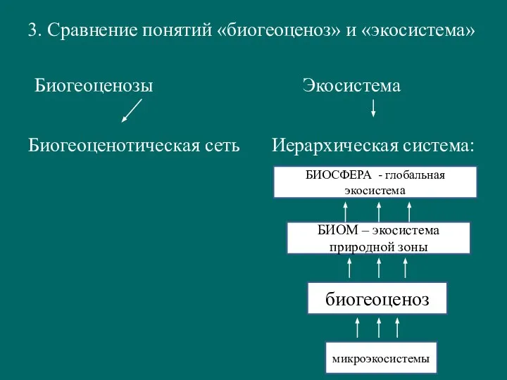 3. Сравнение понятий «биогеоценоз» и «экосистема» Биогеоценозы Экосистема Биогеоценотическая сеть Иерархическая система: