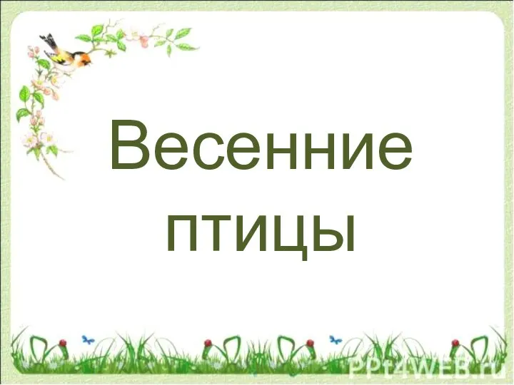 Весенние птицы