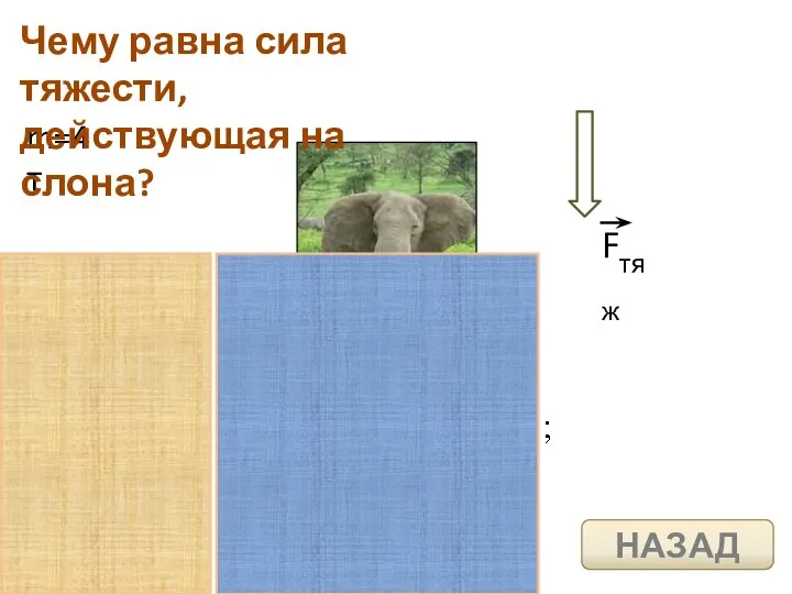 m=4 т Чему равна сила тяжести, действующая на слона? НАЗАД