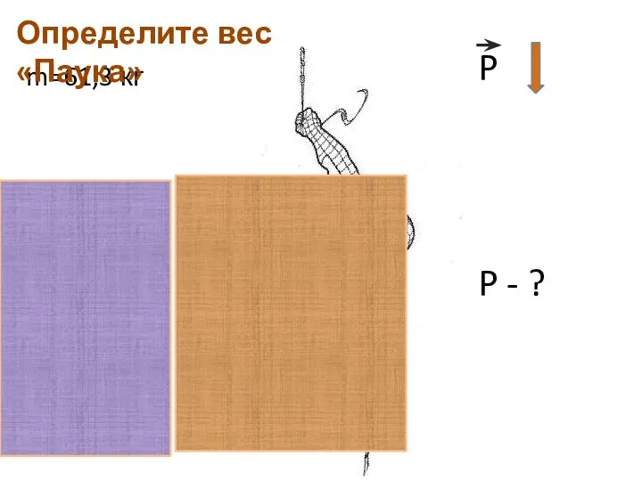 m=61,3 кг Определите вес «Паука» P - ? P