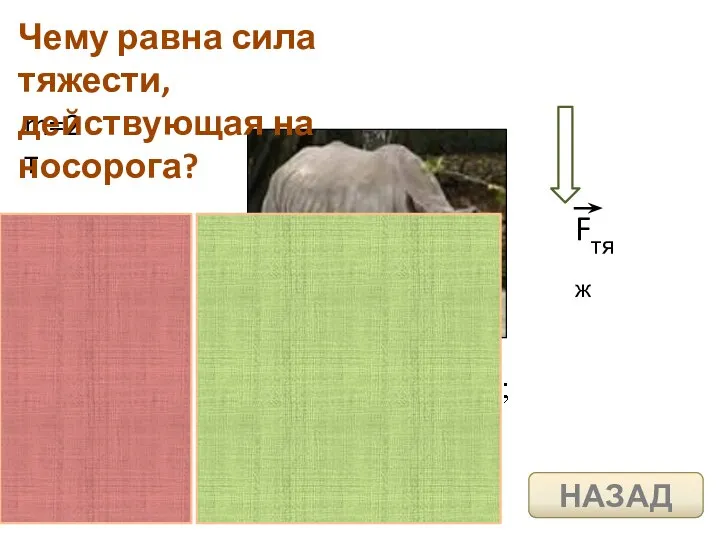 m=2 т Чему равна сила тяжести, действующая на носорога? НАЗАД