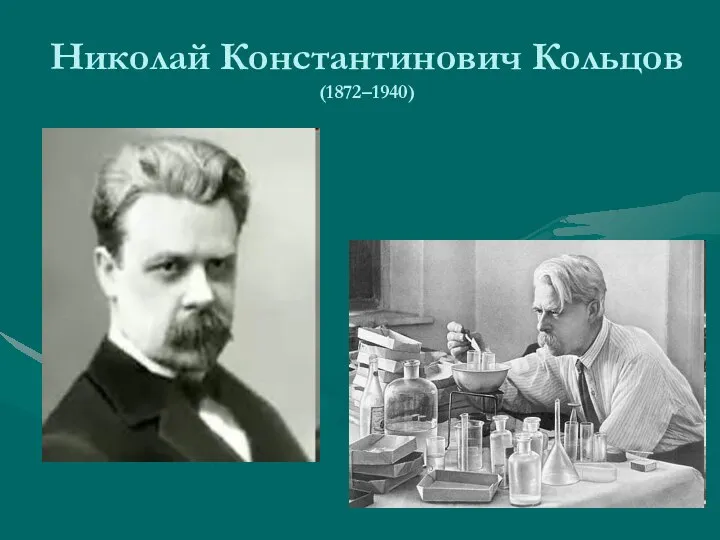 Николай Константинович Кольцов (1872–1940)