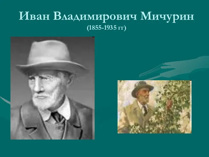 Иван Владимирович Мичурин (1855-1935 гг)