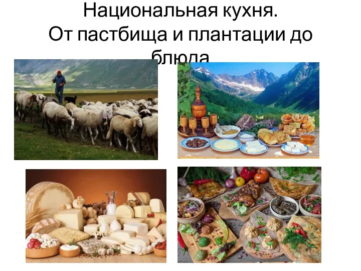 Национальная кухня. От пастбища и плантации до блюда