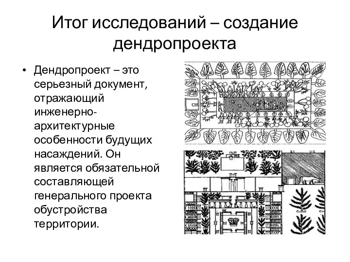 Итог исследований – создание дендропроекта Дендропроект – это серьезный документ, отражающий инженерно-архитектурные