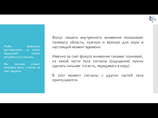 Фокус нашего внутреннего внимания показывает таламусу область, нужную и важную для коры