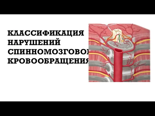 КЛАССИФИКАЦИЯ НАРУШЕНИЙ СПИННОМОЗГОВОГО КРОВООБРАЩЕНИЯ