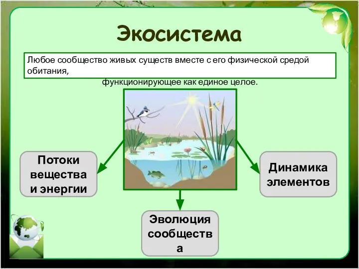 Экосистема Любое сообщество живых существ вместе с его физической средой обитания, функционирующее