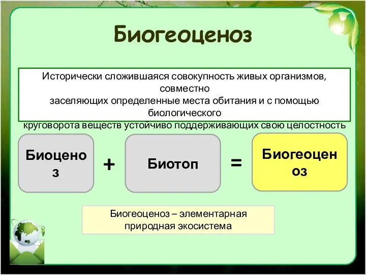 Биогеоценоз Исторически сложившаяся совокупность живых организмов, совместно заселяющих определенные места обитания и