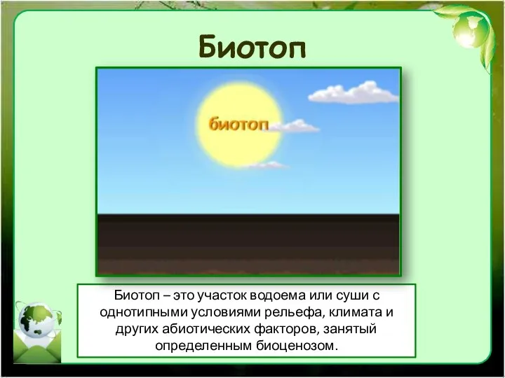 Биотоп Биотоп – это участок водоема или суши с однотипными условиями рельефа,