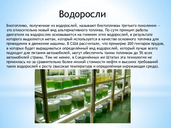 Водоросли Биотопливо, полученное из водорослей, называют биотопливом третьего поколения — это относительно