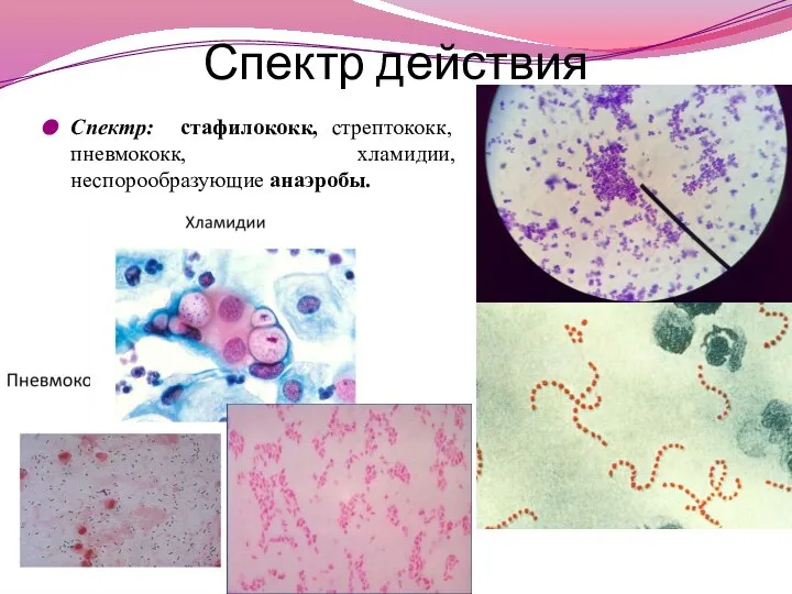 Спектр действия Спектр: стафилококк, стрептококк, пневмококк, хламидии, неспорообразующие анаэробы.