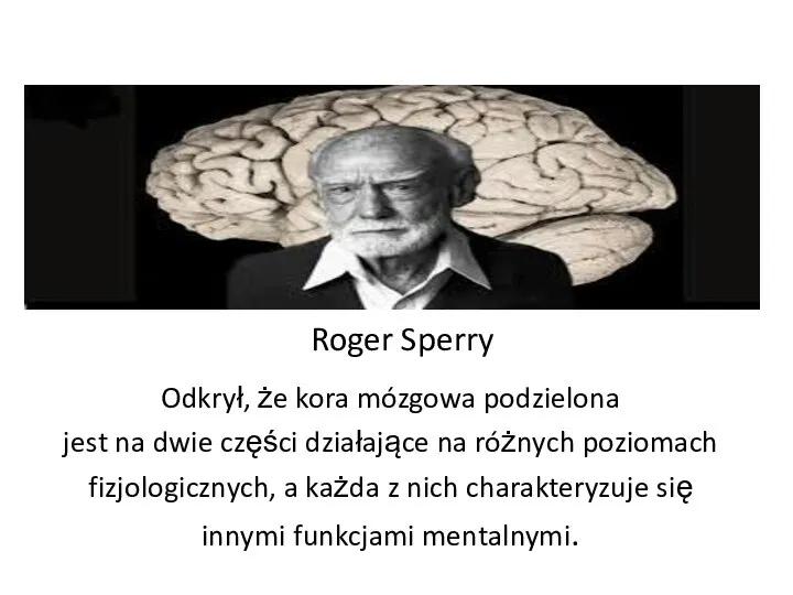 Odkrył, że kora mózgowa podzielona jest na dwie części działające na różnych