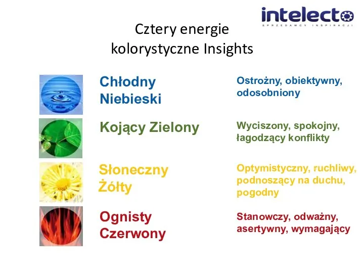 Cztery energie kolorystyczne Insights Chłodny Niebieski Kojący Zielony Słoneczny Żółty Ognisty Czerwony