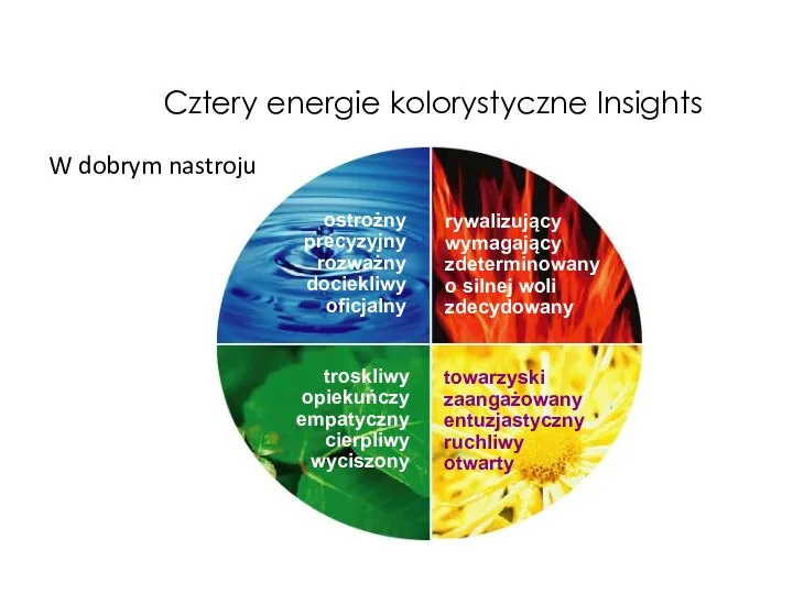 ostrożny precyzyjny rozważny dociekliwy oficjalny rywalizujący wymagający zdeterminowany o silnej woli zdecydowany