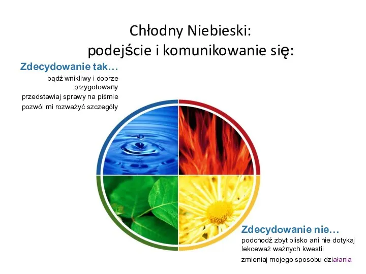 Chłodny Niebieski: podejście i komunikowanie się: Zdecydowanie tak… bądź wnikliwy i dobrze