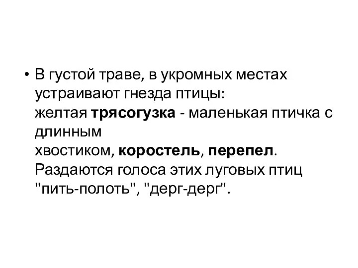 В густой траве, в укромных местах устраивают гнезда птицы: желтая трясогузка -