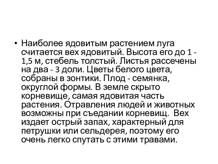 Наиболее ядовитым растением луга считается вех ядовитый. Высота его до 1 -