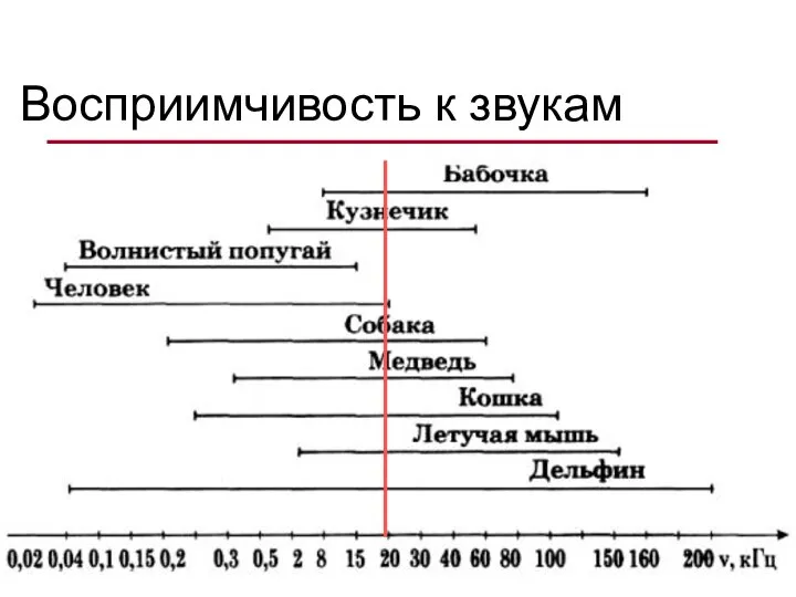 Восприимчивость к звукам