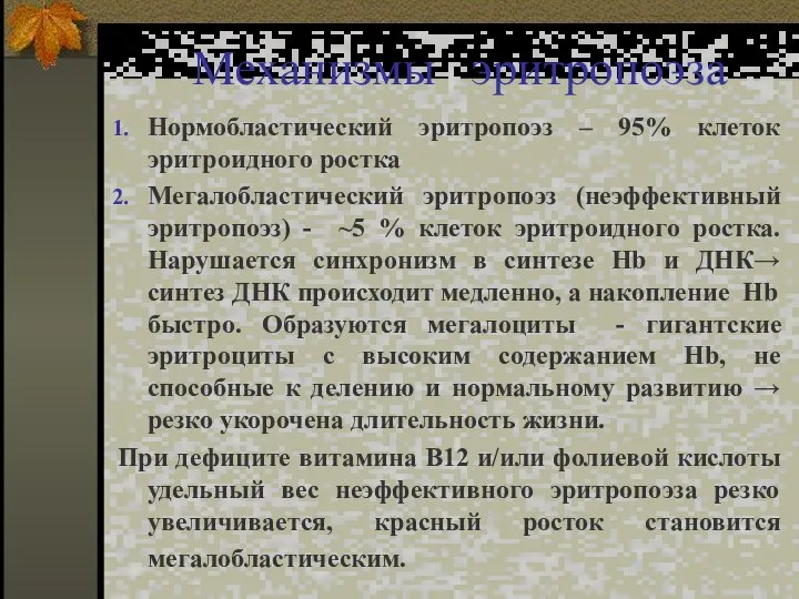 Механизмы эритропоэза Нормобластический эритропоэз – 95% клеток эритроидного ростка Мегалобластический эритропоэз (неэффективный