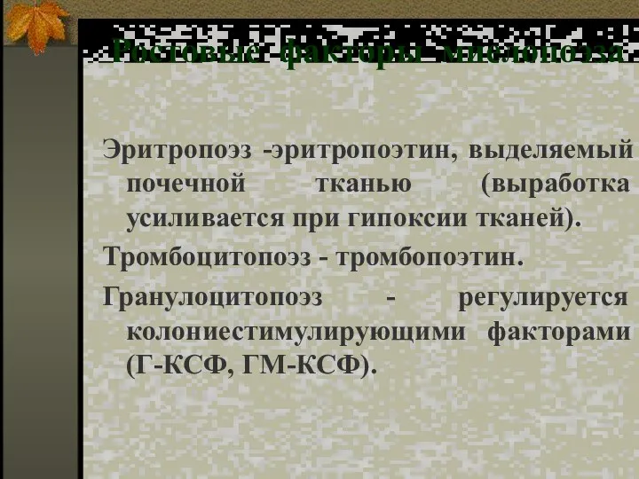 Ростовые факторы миелопоэза Эритропоэз -эритропоэтин, выделяемый почечной тканью (выработка усиливается при гипоксии