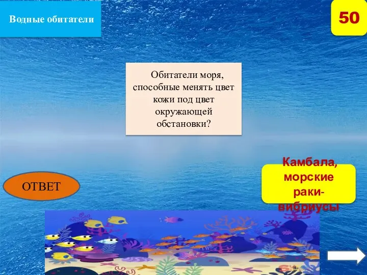 Животные и птицы 50 Этому зверю помогает выжить удивительная выносливость. Он может