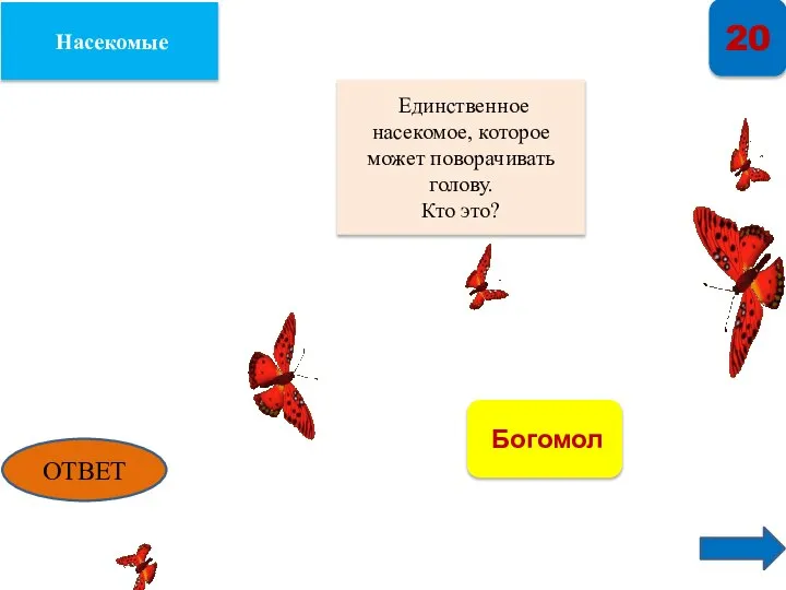 Насекомые 20 Единственное насекомое, которое может поворачивать голову. Кто это? ОТВЕТ Богомол