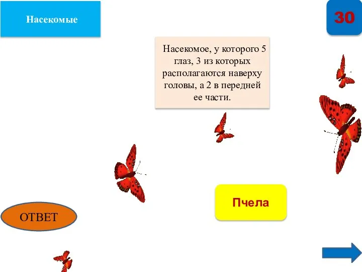 Насекомые 30 Насекомое, у которого 5 глаз, 3 из которых располагаются наверху