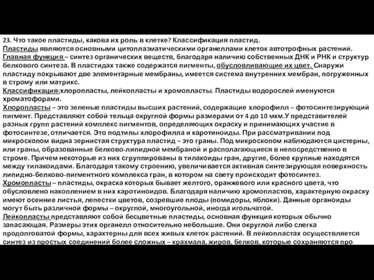 23. Что такое пластиды, какова их роль в клетке? Классификация пластид. Пластиды