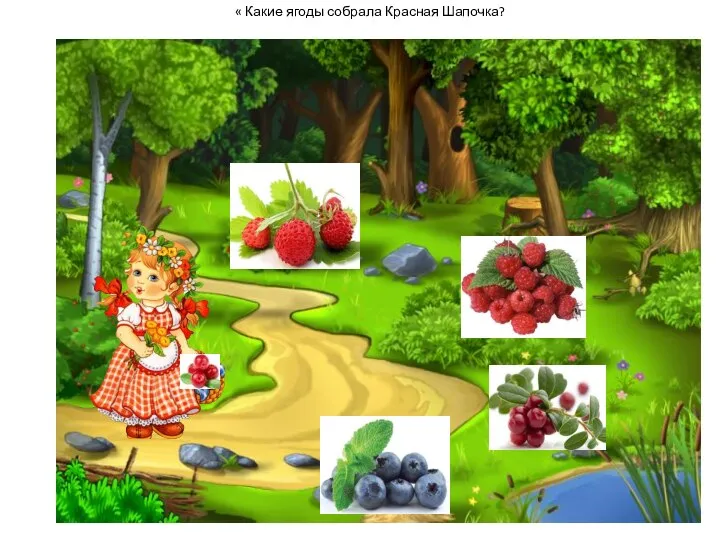 « Какие ягоды собрала Красная Шапочка?
