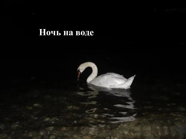 Ночь на воде