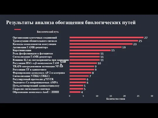 Результаты анализа обогащения биологических путей