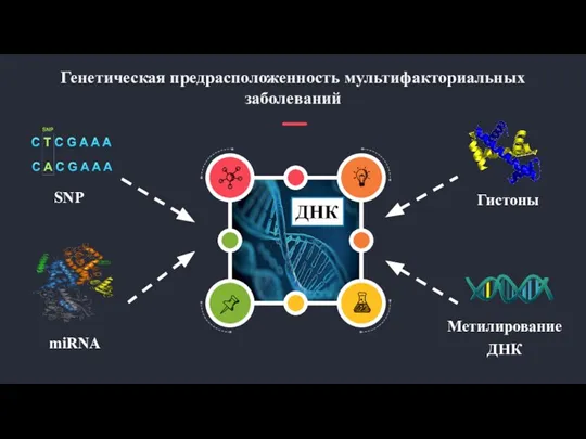 Генетическая предрасположенность мультифакториальных заболеваний Метилирование ДНК Гистоны SNP miRNA ДНК