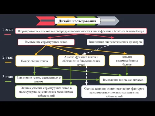 1 этап 2 этап 3 этап Выявление структурных генов Оценка влияния эпигенетических