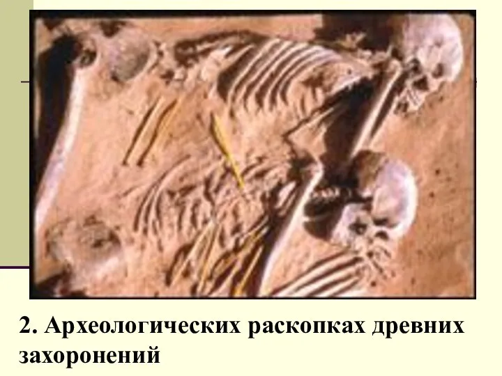 2. Археологических раскопках древних захоронений