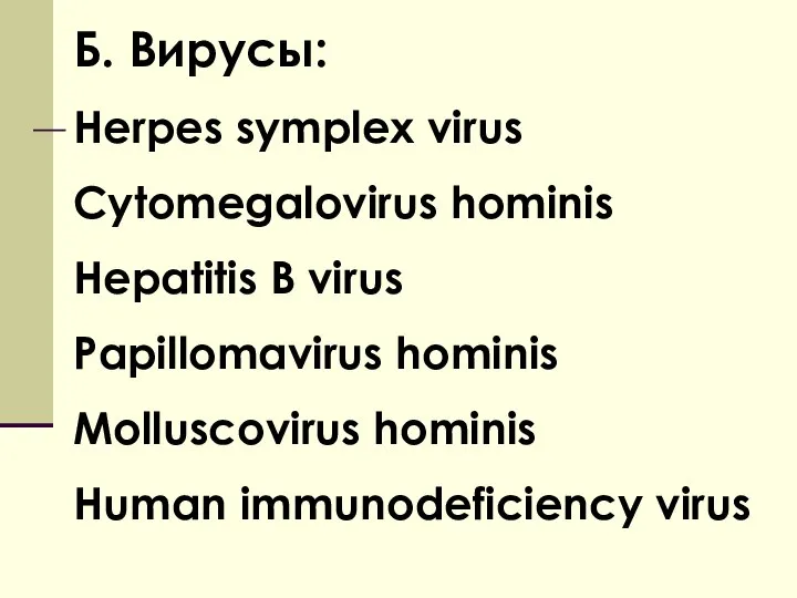 Б. Вирусы: Herpes symplex virus Cytomegalovirus hominis Hepatitis B virus Papillomavirus hominis