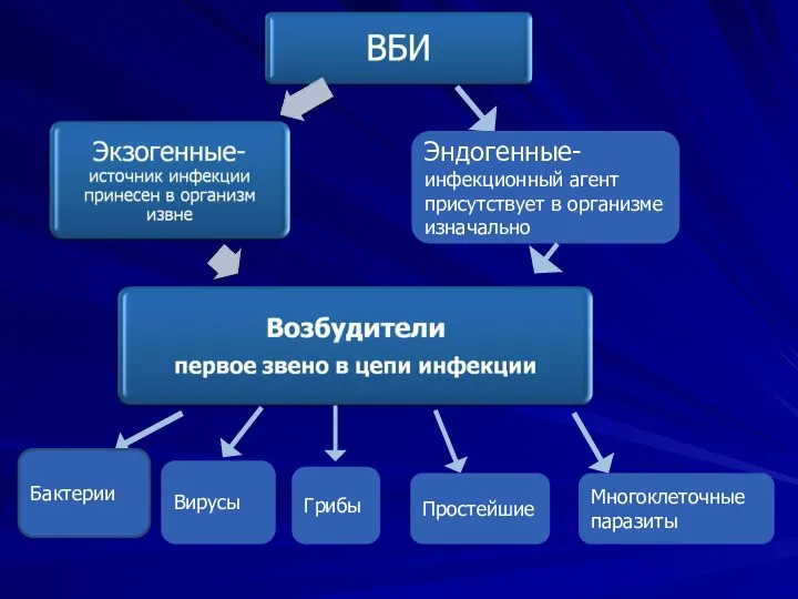 Эндогенные- инфекционный агент присутствует в организме изначально Бактерии Вирусы Грибы Простейшие Многоклеточные паразиты