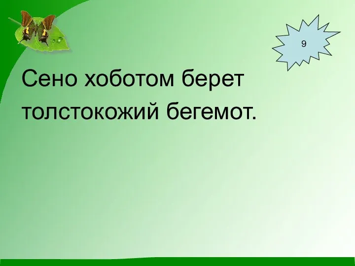 Сено хоботом берет толстокожий бегемот. 9