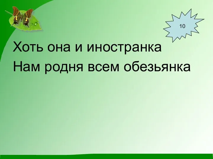 Хоть она и иностранка Нам родня всем обезьянка 10