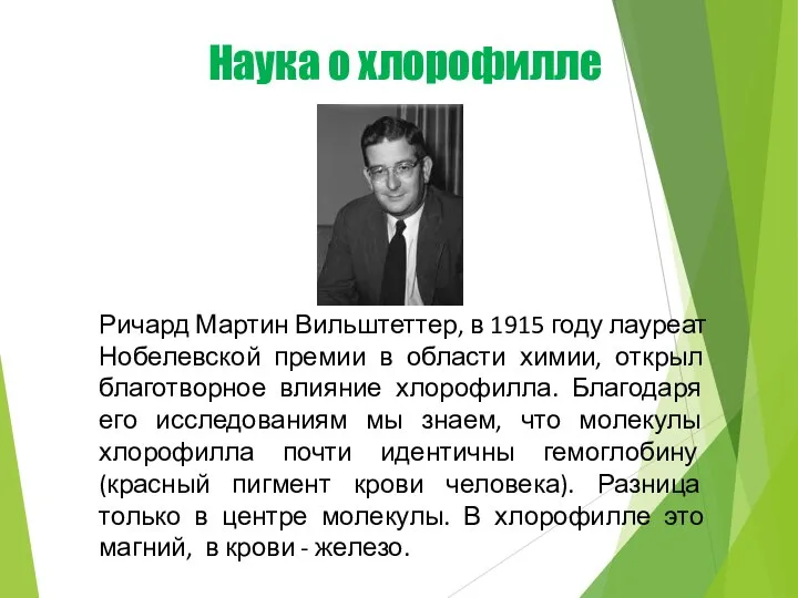 Наука о хлорофилле Ричард Мартин Вильштеттер, в 1915 году лауреат Нобелевской премии