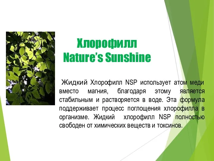 Хлорофилл Nature’s Sunshine Жидкий Хлорофилл NSP использует атом меди вместо магния, благодаря