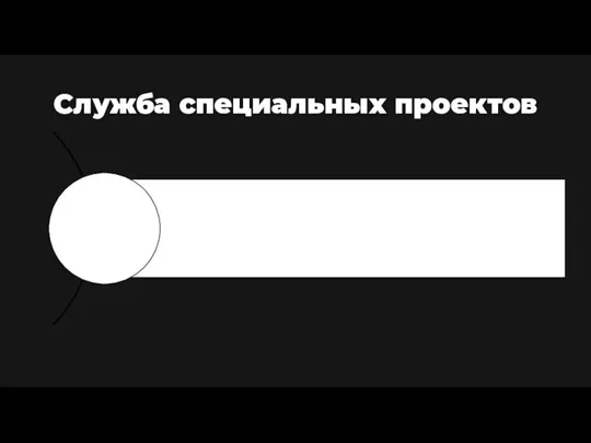 Служба специальных проектов