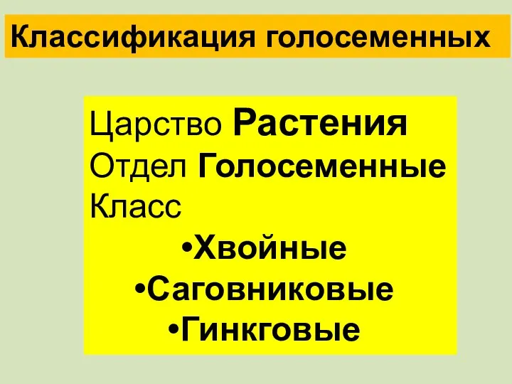 Классификация голосеменных Царство Растения Отдел Голосеменные Класс Хвойные Саговниковые Гинкговые