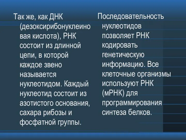 Так же, как ДНК (дезоксирибонуклеиновая кислота), РНК состоит из длинной цепи, в