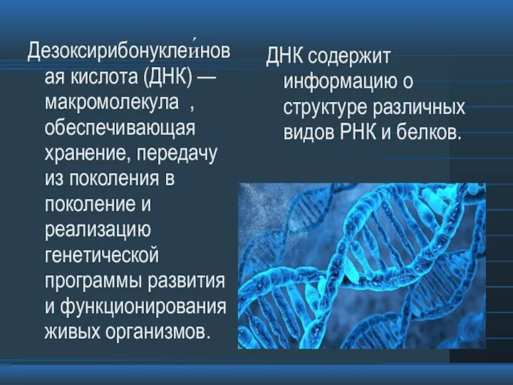 Дезоксирибонуклеи́новая кислота (ДНК) — макромолекула , обеспечивающая хранение, передачу из поколения в